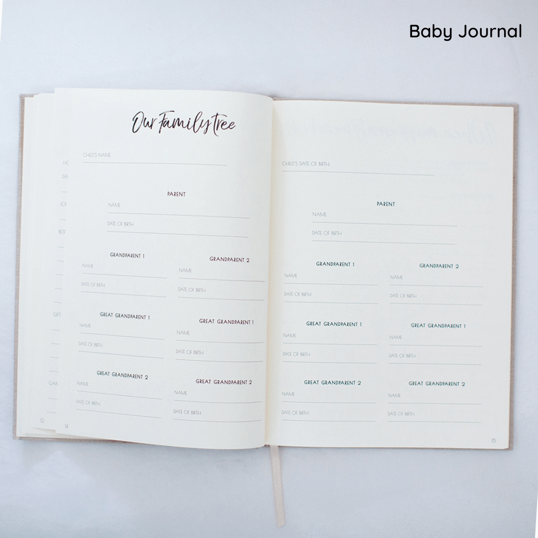 Pregnancy & Baby Journal With FREE Mum's Story Journal